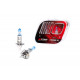 Галогенные лампы Optima Xtreme H1 +130% light 4200K, 55W, 12V БЕЗ ГАРАНТИИ